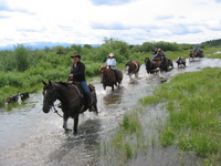 Blackwater Spruce Ranch, Dale and Yvonne Dunn