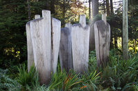 Tofino Botanical Gardens Foundation, Chenoa Akey