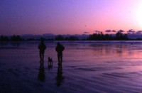 Tofino Beach Homes