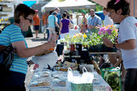 Pugwash Farmers Market