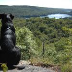 Haliburton Forest & Wild Life Reserve Ltd.