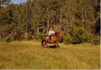 Red Willow Ranch