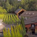 Muse Winery, Jane  Ellmann