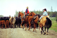 Chezacut Wilderness and Ranch Adventures