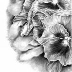 Brenda Hill Botanical Artist