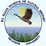 The B.J. Hales Museum 