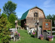 Orchard Barn Studio & Gallery, Susan Snow